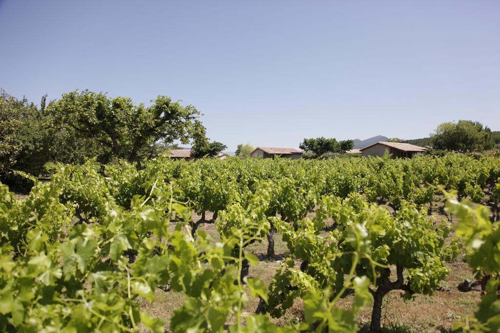 Domaine Des Bridoux Village De Gites Mirabel-aux-Baronnies Exteriör bild